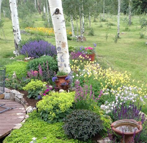 And the perennial gardener's design primer. Colorado perennial garden @ 9000' | Perennial garden ...