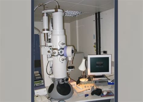 5 Different Types Of Microscopes And Their Applications Rankred