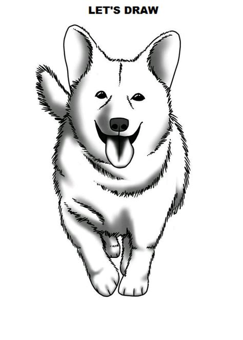 How To Draw A Dog Realistic But Easy 100 Anime Drawn