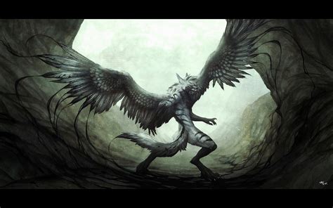 Wolf With Wings Random Anime Rp For Teens Photo