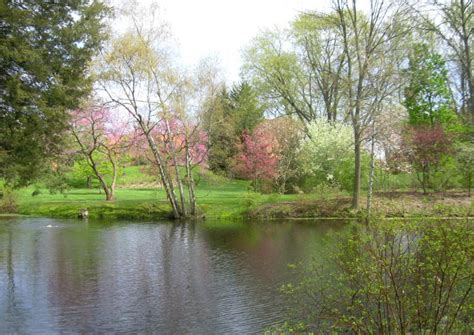 Maybe you would like to learn more about one of these? Free Photos Online: Dow Gardens Pictures-Midland ...