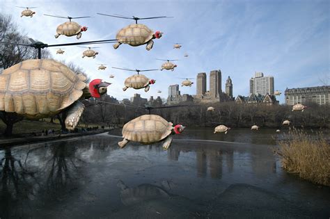 Flying Tortoises 04 The Invasion Takes Centr Flickr