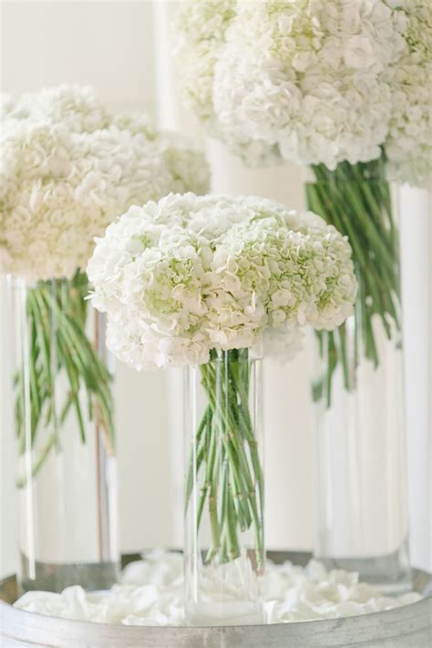 Pay attention that the colour of the can differ slightly in reality it depends of the settings of your monitor! all white wedding flowers white hydrangeas , reception ...