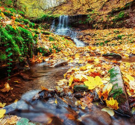 Waterfall In Autumn Stock Image Colourbox