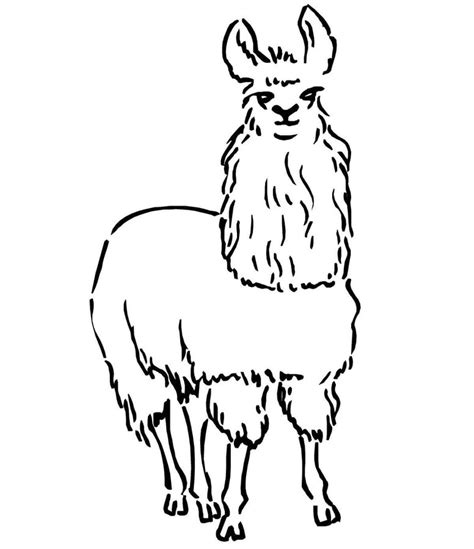Find more cute llama coloring page pictures from our search. Coloring pages: Coloring pages: Llama, printable for kids ...