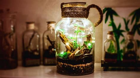 The Magical Miniature Worlds Of Terrariums Bbc Future