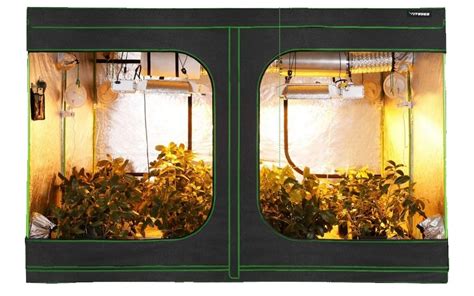 Best Grow Tent Setup Guide Build The Perfect Indoor Grow Tent