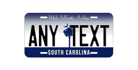 Personalized Custom South Carolina State License Plate City Falls Blue