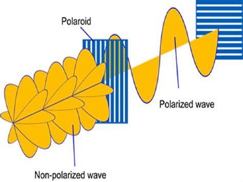 Polarization Of Light Examples In Daily Life Studiousguy