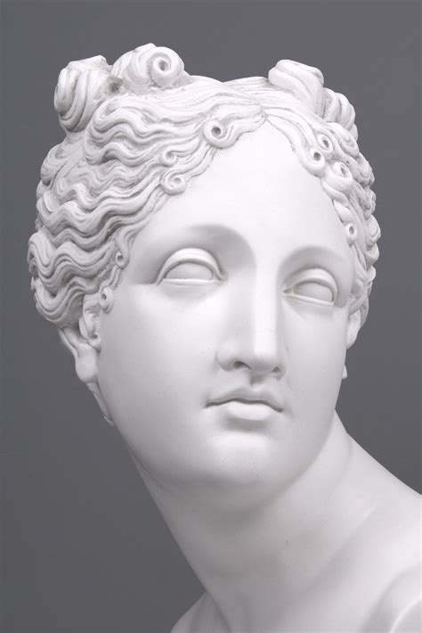 Venus Bust Sculpture - Goddess of Love (Large) Greek Goddess Statue