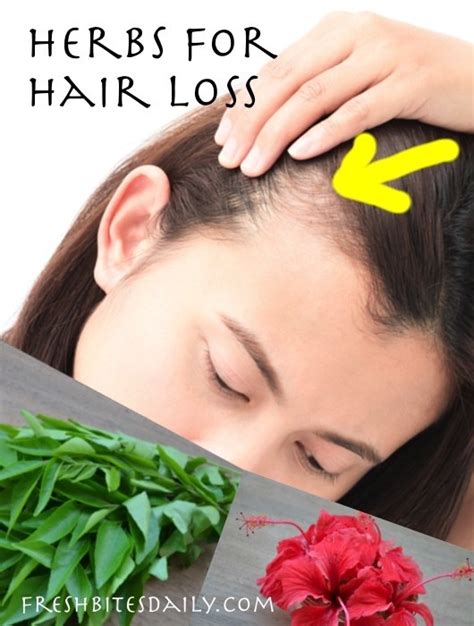 Herbs For Hair Loss Natural Remedies For Thinning Hair