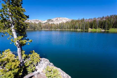 Jackson Peak Gros Ventre Mountains Free Roaming Hiker