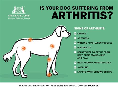 Common Information Arthritis Canine Rheumatoid Arthritis Teaching