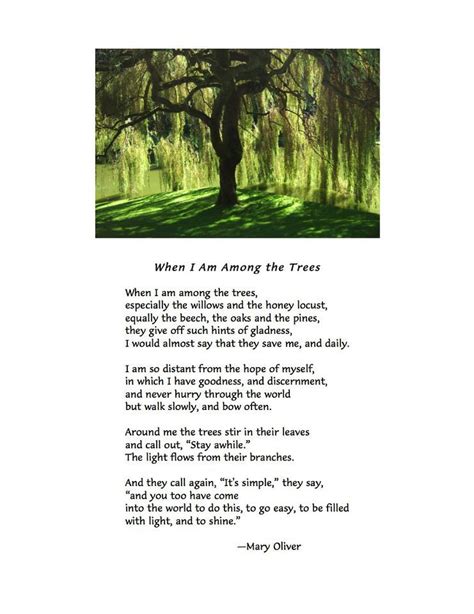 When I Am Among The Trees ~ Mary Oliver The Trees Have The Wisdom