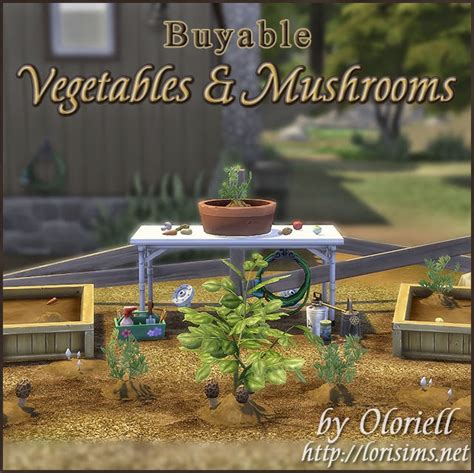 My Sims 4 Blog Buyable Vegetables And Mushrooms By Oloriell
