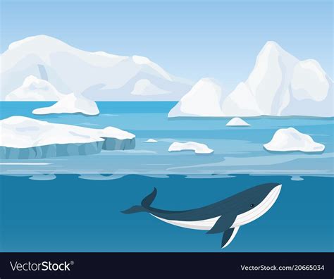 Vector Illustration Of Beautiful Arctic Landscape Of Northern And