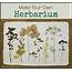 Make Your Own Herbarium Identification Book