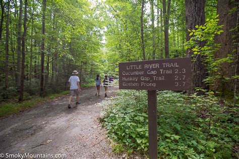 Little River Trail Hike Review With Photos And Insider Tips