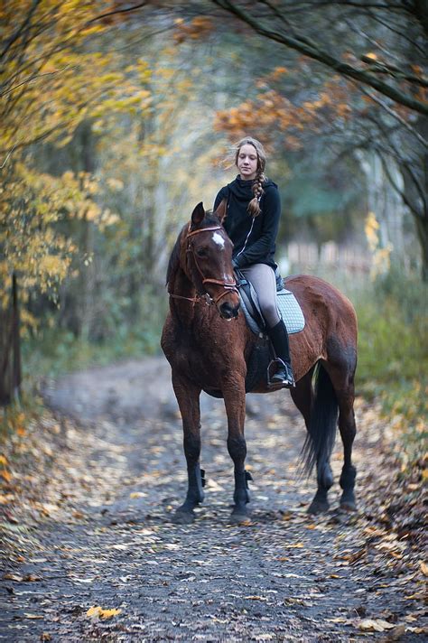 Hd Wallpaper Woman Riding Horse Under Tree On Raod The Horse Autumn