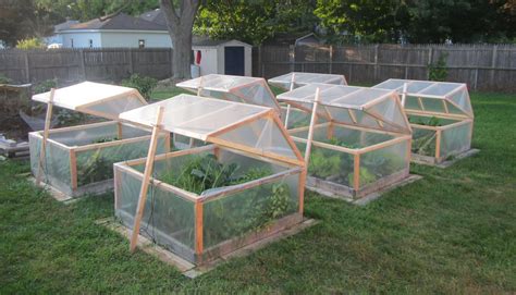 These Are My Mini Greenhouses For Winter Gardening They Open For