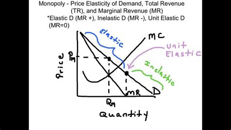 Average variable costs (avc) and marginal variable costs (mc) in relation to output. Elasticity of Demand & Marginal Revenue - YouTube