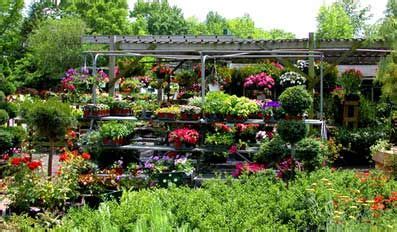Courtesy of roxanne c if you'd like to sit on a one hour training session for our members on august 31 in which they will learn how to startup a 6,000 sq. How to Start a Profitable Backyard Plant Nursery ...