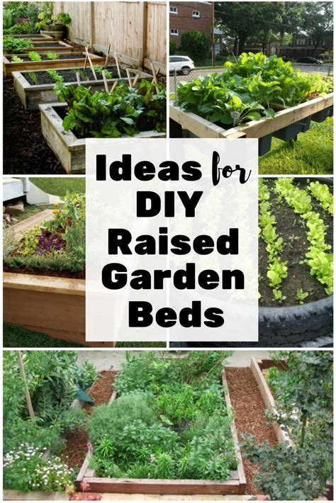 Ideas For Diy Raised Garden Beds The Budget Diet