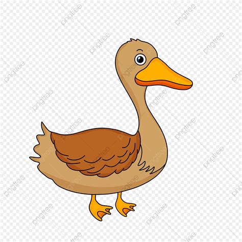 Gambar Hewan Bebek Animasi - Sketsa Bebek Dan Cara Menggambarnya Mudah