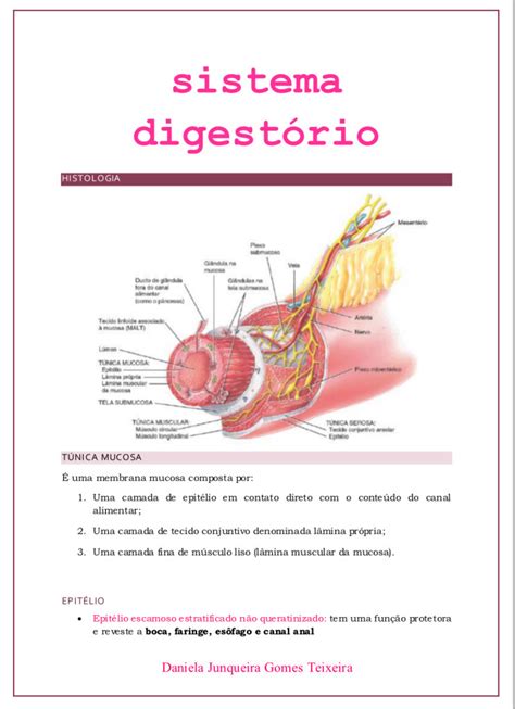 Histologia E Anatomia Do Sistema Digestório Anatomia I