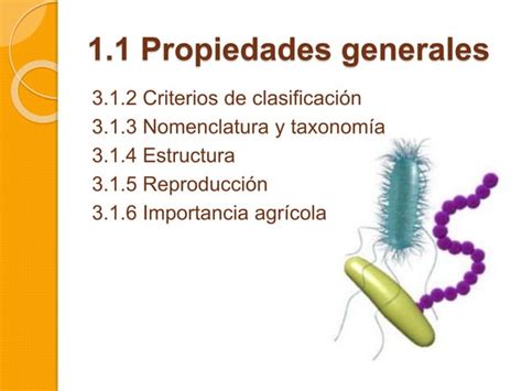Bacterias Nomenclatura