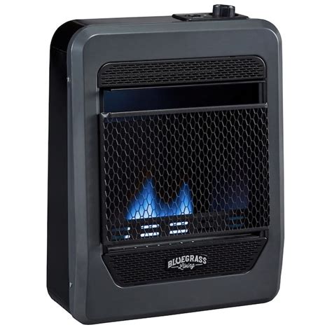 Bluegrass Living 10000 Btu Wall Or Floor Mount Indoor Natural Gas Vent