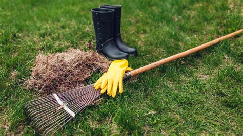 How To Dethatch A Lawn And How To Prevent Thatch Forming