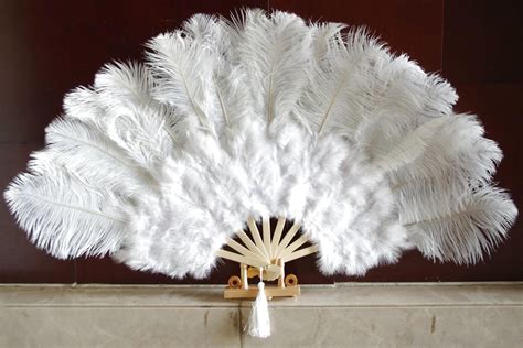 Large Burlesque Feather Fans For Sale In Uk 16 Used Large Burlesque