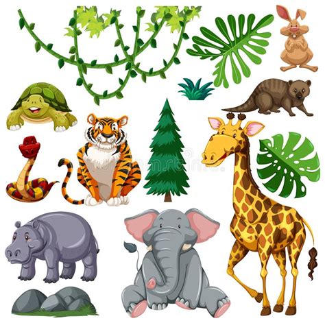 Set Of Cute Wild Animal And Nature Stock Vector Illustration Of Theme