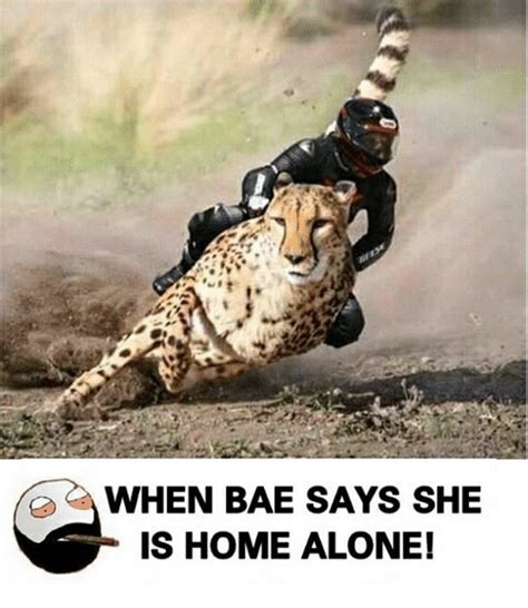 When Bae Says She Is Home Alone Home Alone Meme On Meme