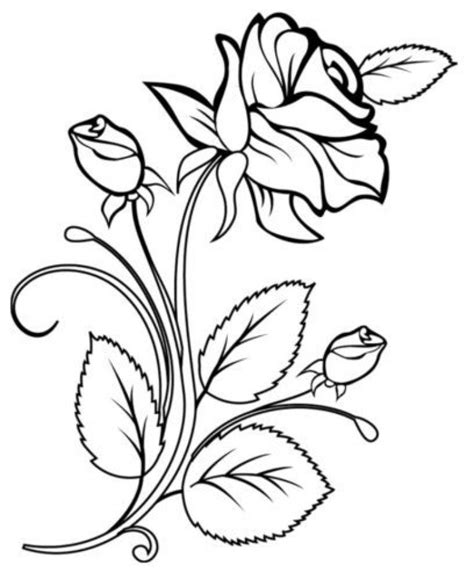 Flower Coloring Pages Coloring Book Pages Roses Drawing Flower