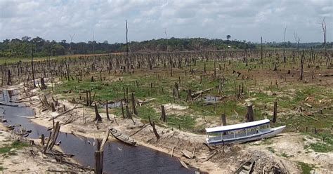 Bom Dia Brasil Seca Deixa Quatro Municípios Em Situação De Emergência No Amazonas