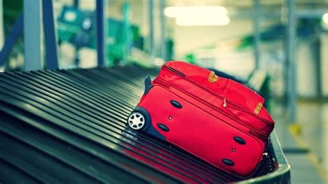 Luggage Roller Coaster Watch What Happens To Your Checked Bags At The