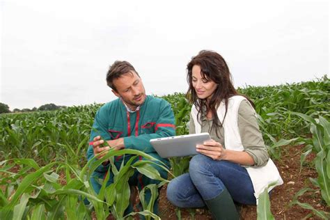 How To Become An Agricultural Engineer Degrees And Careers