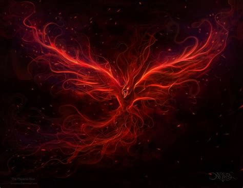 The Phoenix Rise Mythology Fan Art 30557182 Fanpop