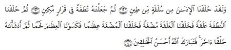 Allah menciptakan manusia dari sari pati dari tanah kemudia menjadi air mani, kemudian menjadi. Ayat-ayat al-Qur'an tentang Kedudukan Manusia | Joko Siswanto