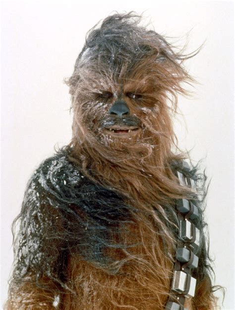 Abominablechewbacca Swt