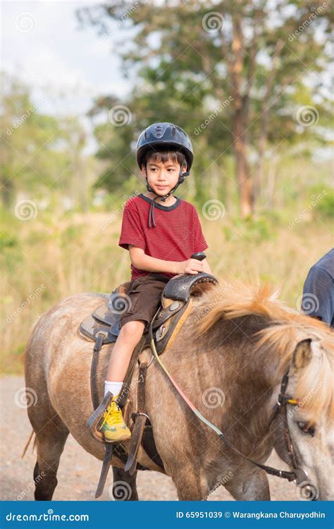 Little Boy Riding Training Horse Stock Image Image Of Outdoor