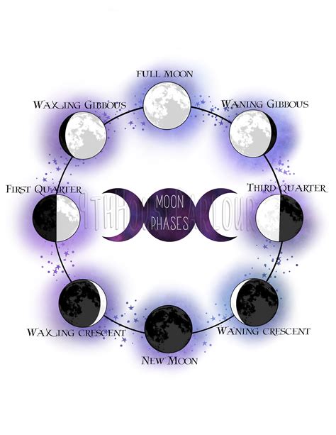 Bos Printable Moon Phase Chart Etsy