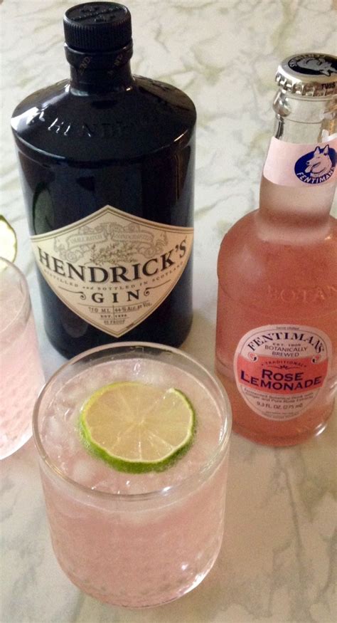 lazy weekend cocktails…with hendrick s…of course gin cocktails gin cocktail recipes alcohol