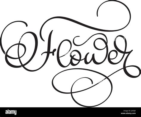 Flower Word On White Background Hand Drawn Calligraphy Lettering