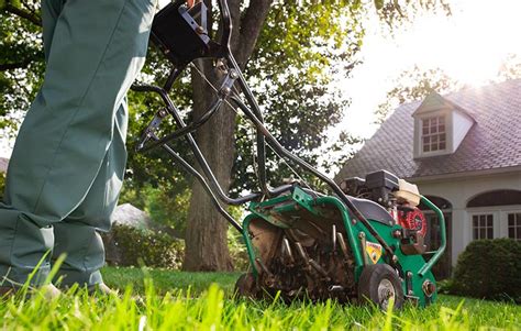 What To Expect With Lawn Aeration Services Trugreen