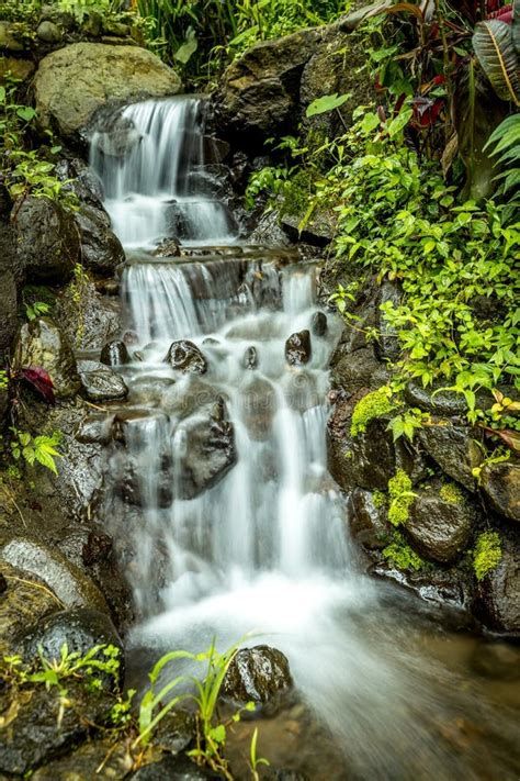 Landscape Small Cascade Waterfall Nature Background Slow Water Flow