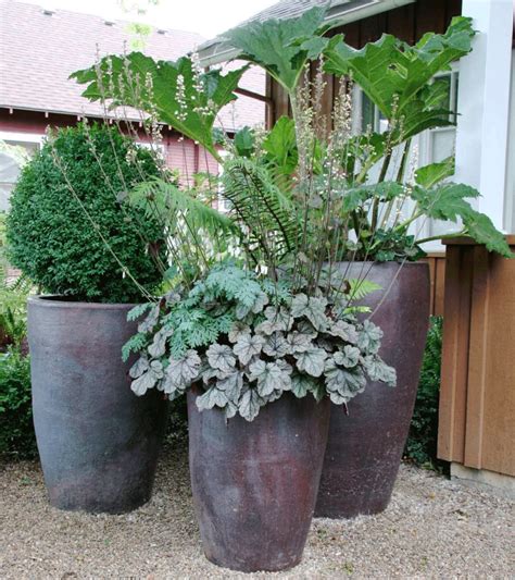 Grounded Design By Thomas Rainer The One Plant Pot