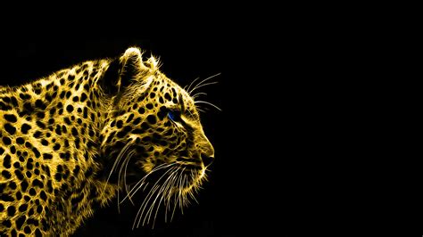 Leopard Animals Black Background Fractalius Wallpapers